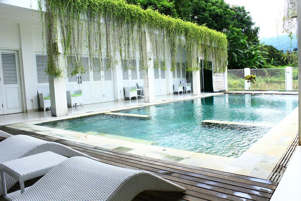 Villa Putih Lovina Extérieur photo